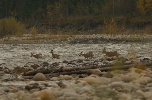 Фото: Заповедник Хакасский
